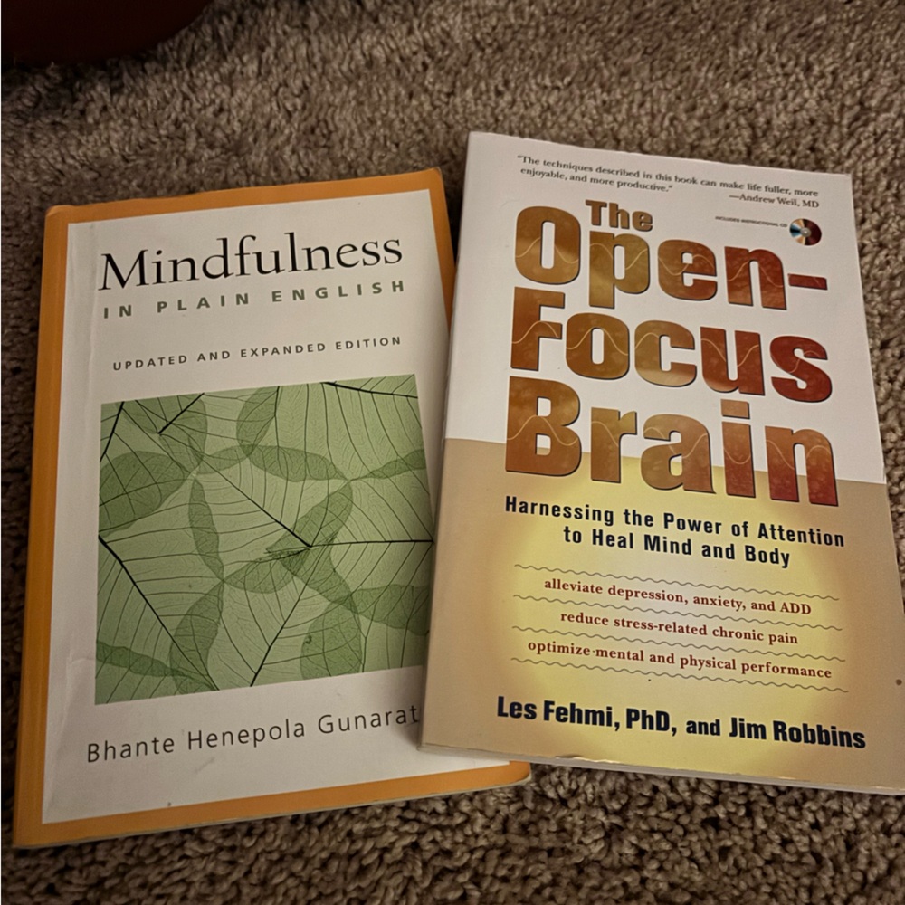 1 hr sale EUC   Self help The Open Focus Brain and Mindfulness Books